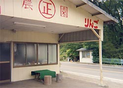 メインビュー1