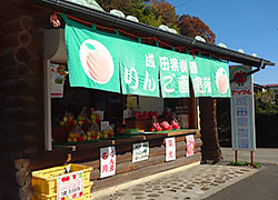 メインビュー1