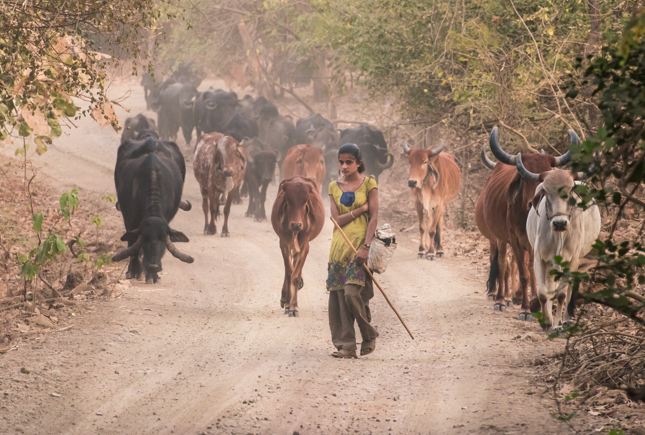 magnuson-pam-shepherd-girl-2