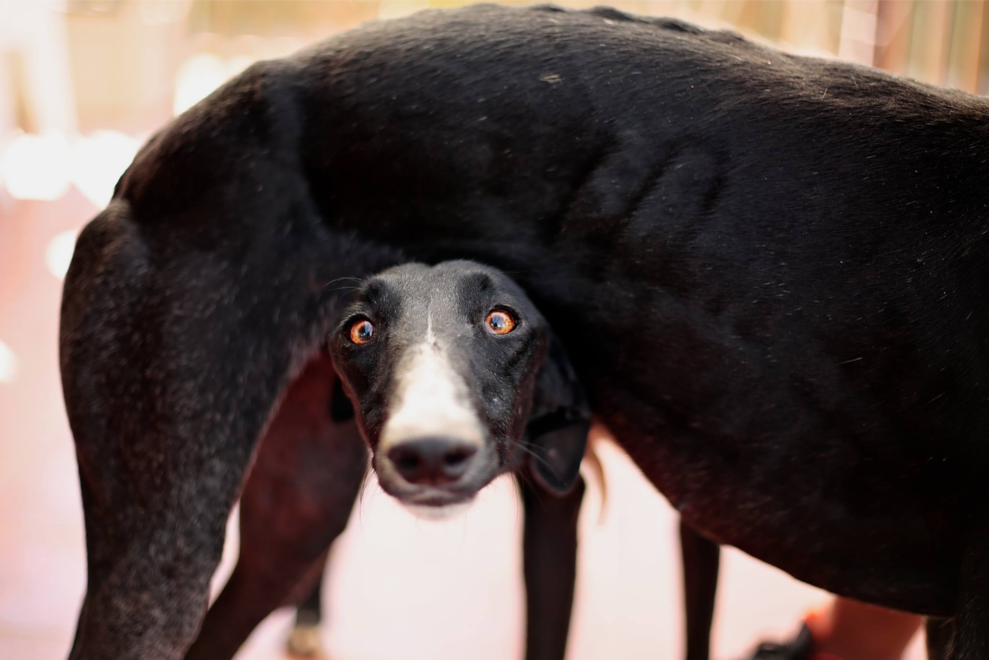 screen-shot-2017-02-12-at-11-17-57-am