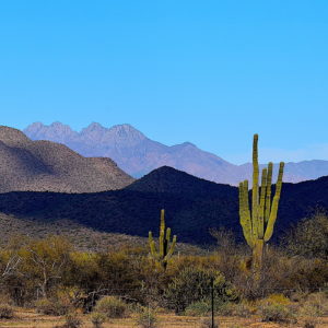 Albert Castellanos - Cloud Cover