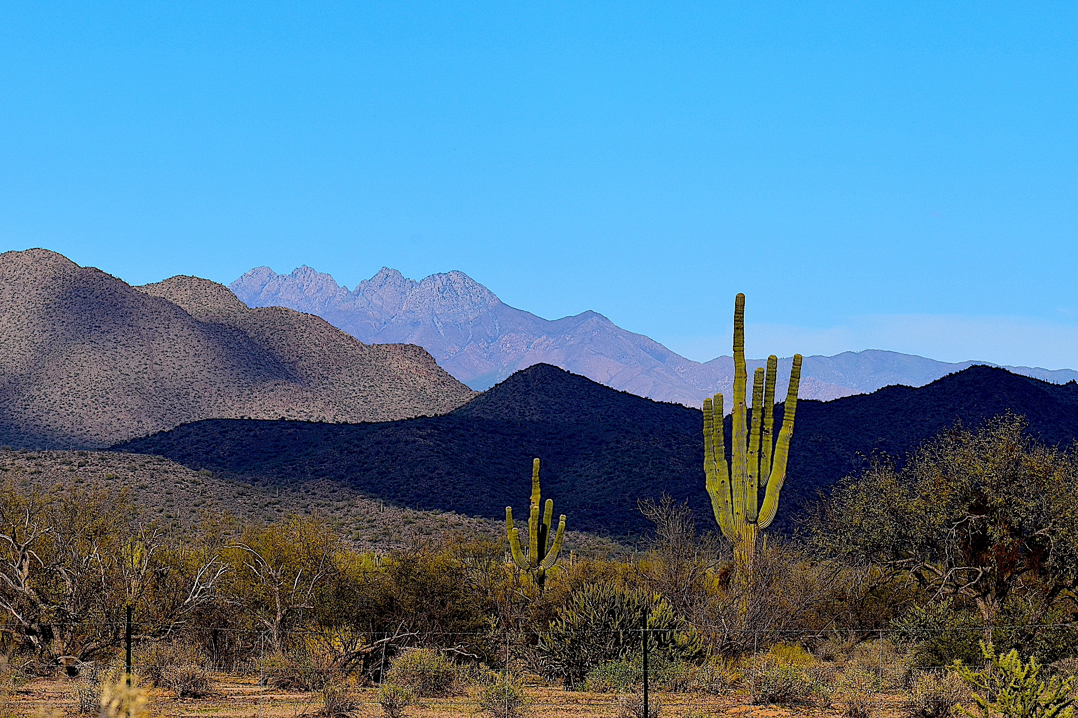 Albert Castellanos - Cloud Cover