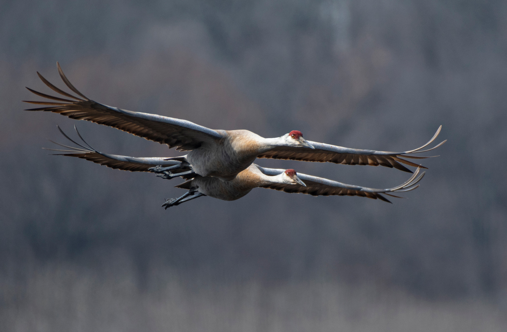 Rick Miller - Final Approach