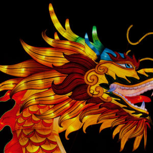 Steven Szalaj - Dragon of Light