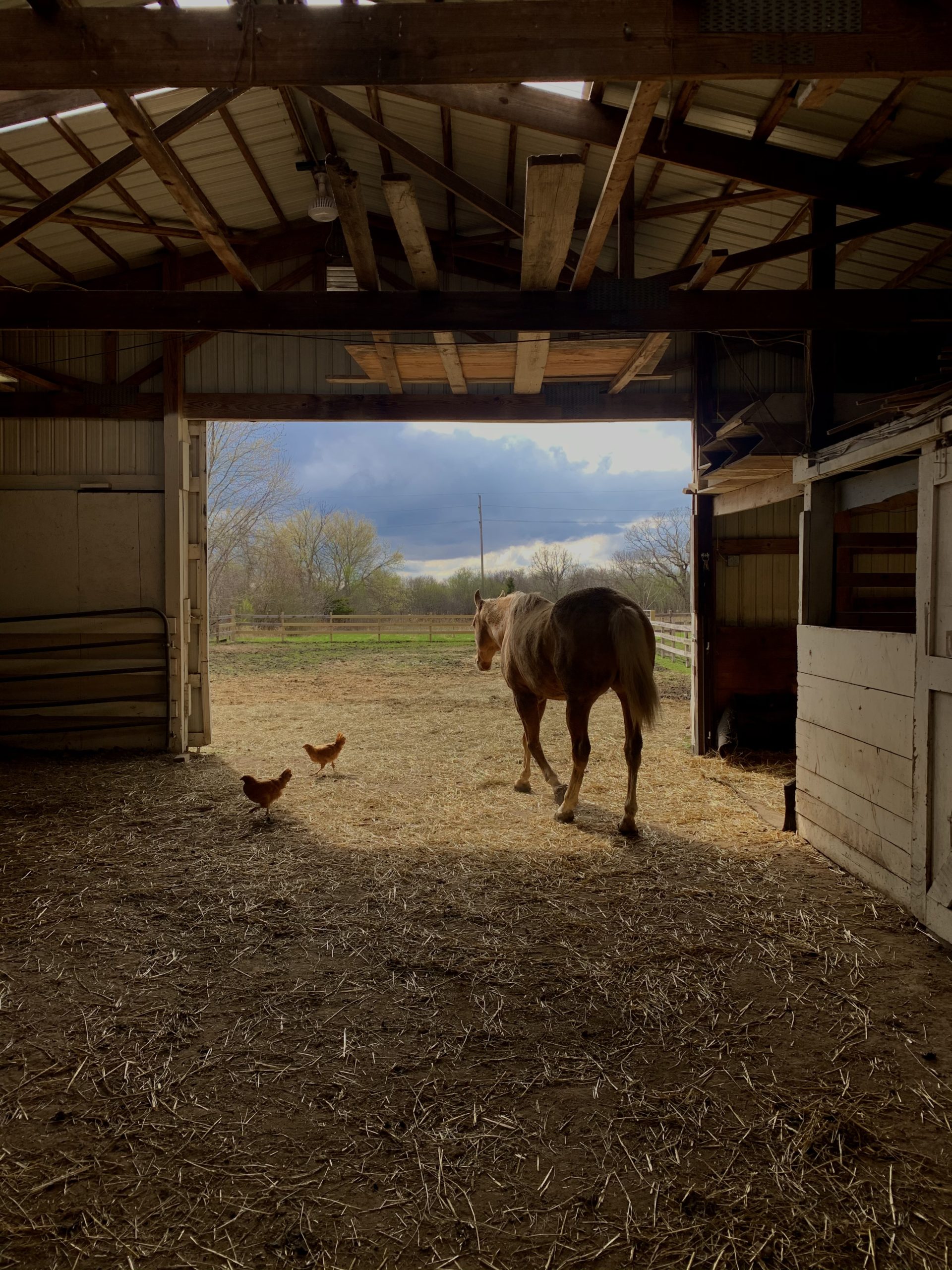 Dawn Dominguez - Stroll After the Storm