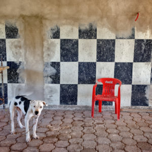 Skip Boyd - Guardian of the Throne, Tulum, Mexico