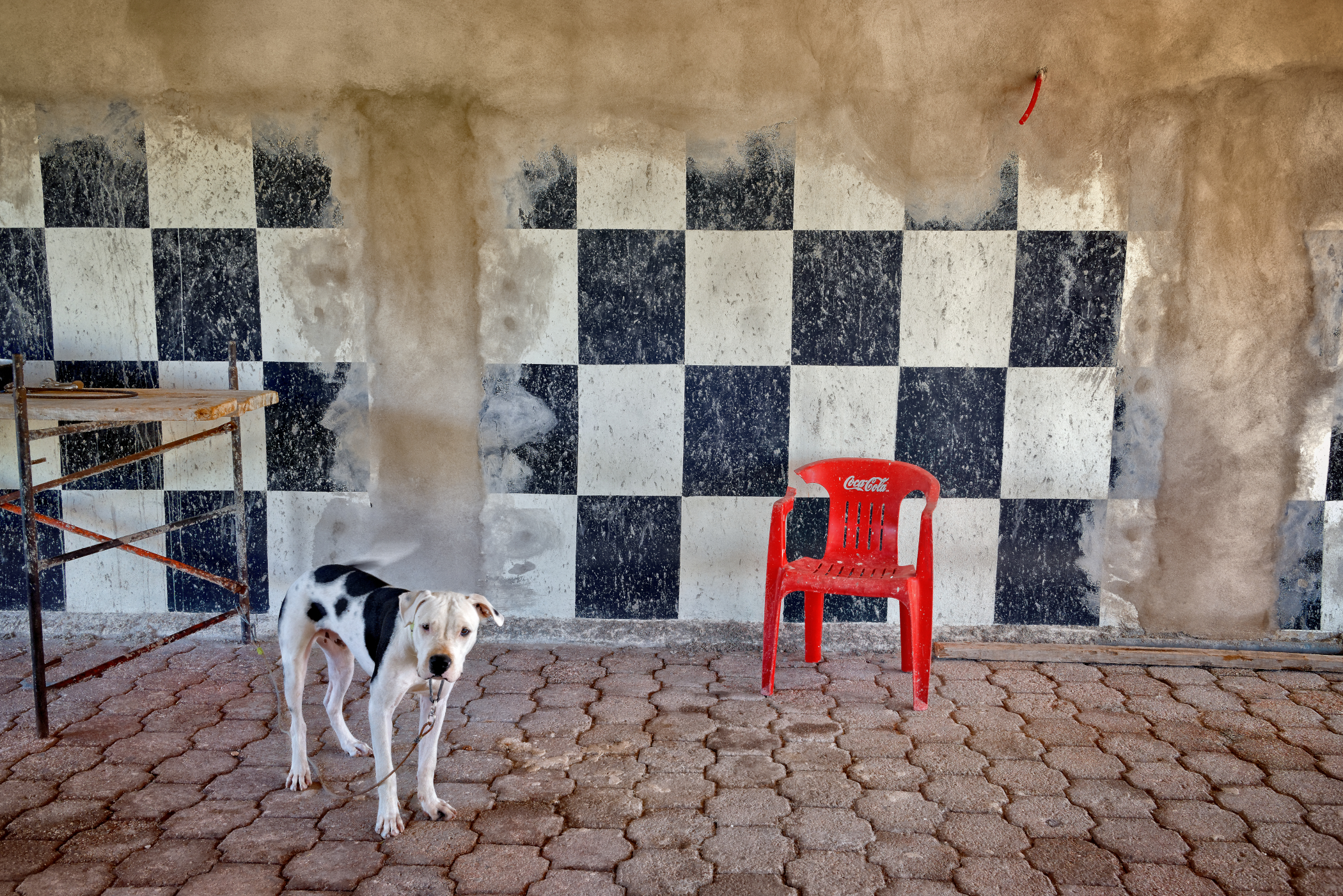 Skip Boyd - Guardian of the Throne, Tulum, Mexico