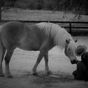 Diana Floress - Respect