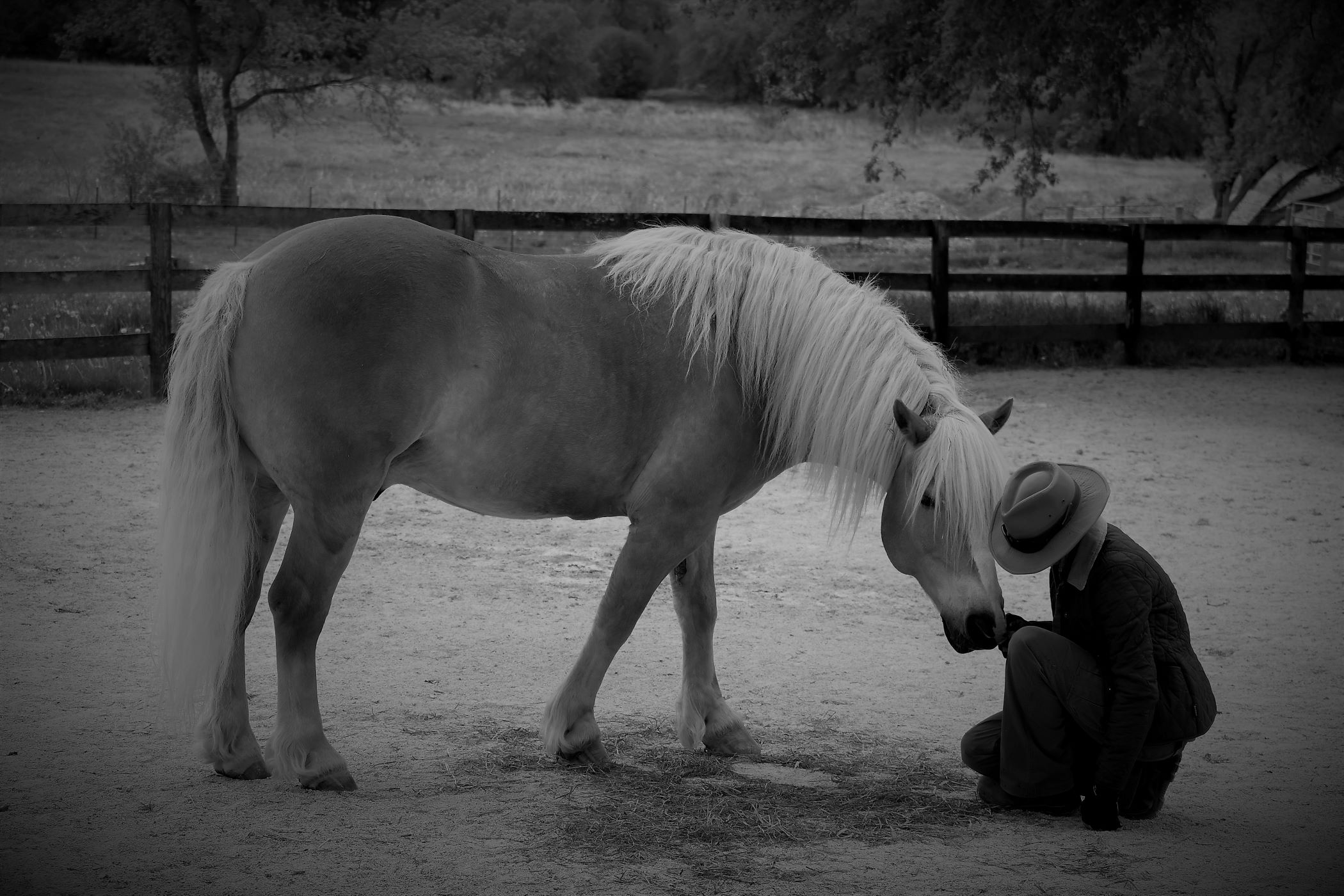 Diana Floress - Respect