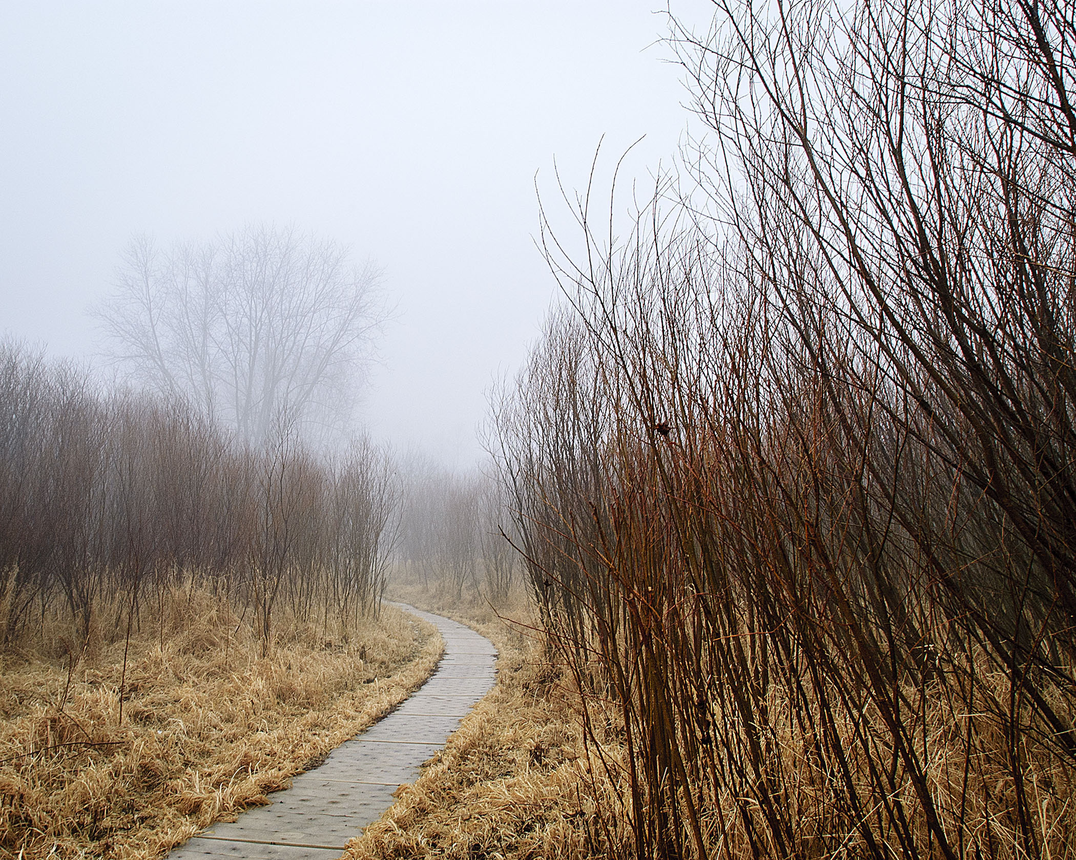 WEG Thomas - WALKAWAY