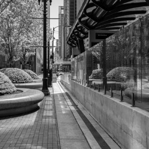 Bonnie Wemken - Reflective Bushes
