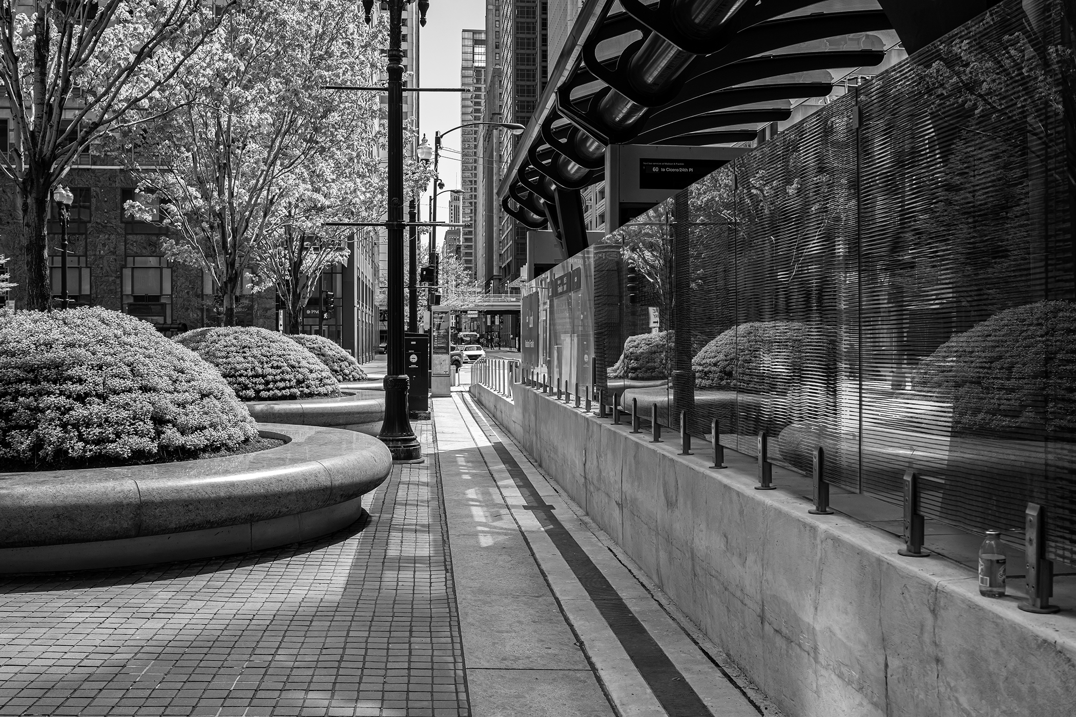 Bonnie Wemken - Reflective Bushes