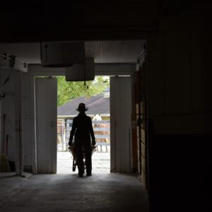 Diana Floress - Breakfast Time