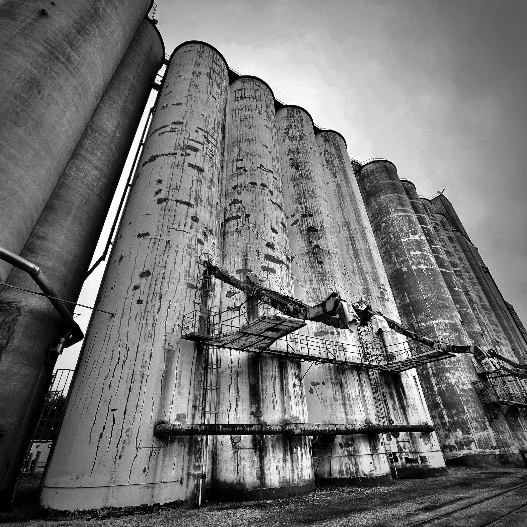 Marlene Frisbie - Along the Tracks