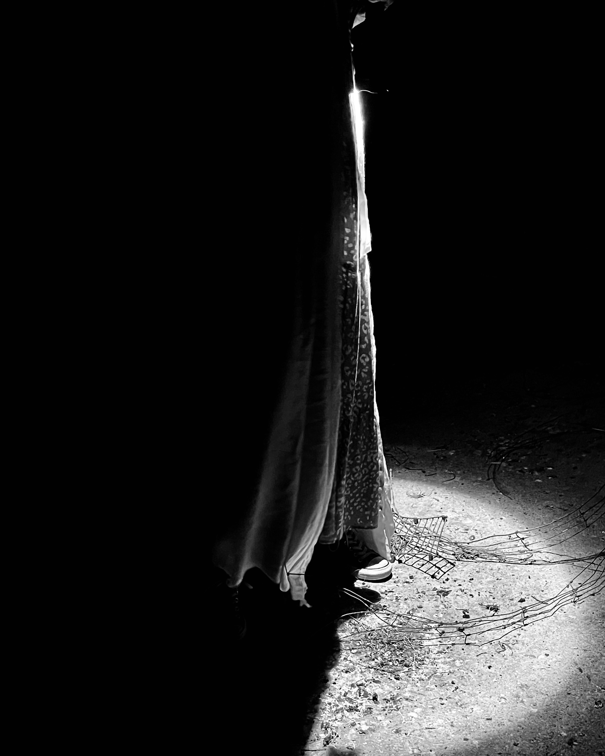 Marlene Frisbie - She Stands in Light