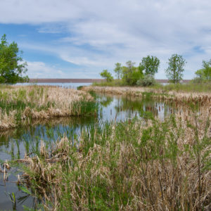 Steven Szalaj - Serenity