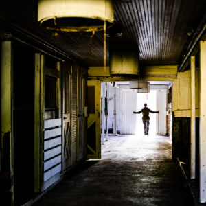 Lindsey Draves - Feeding Time