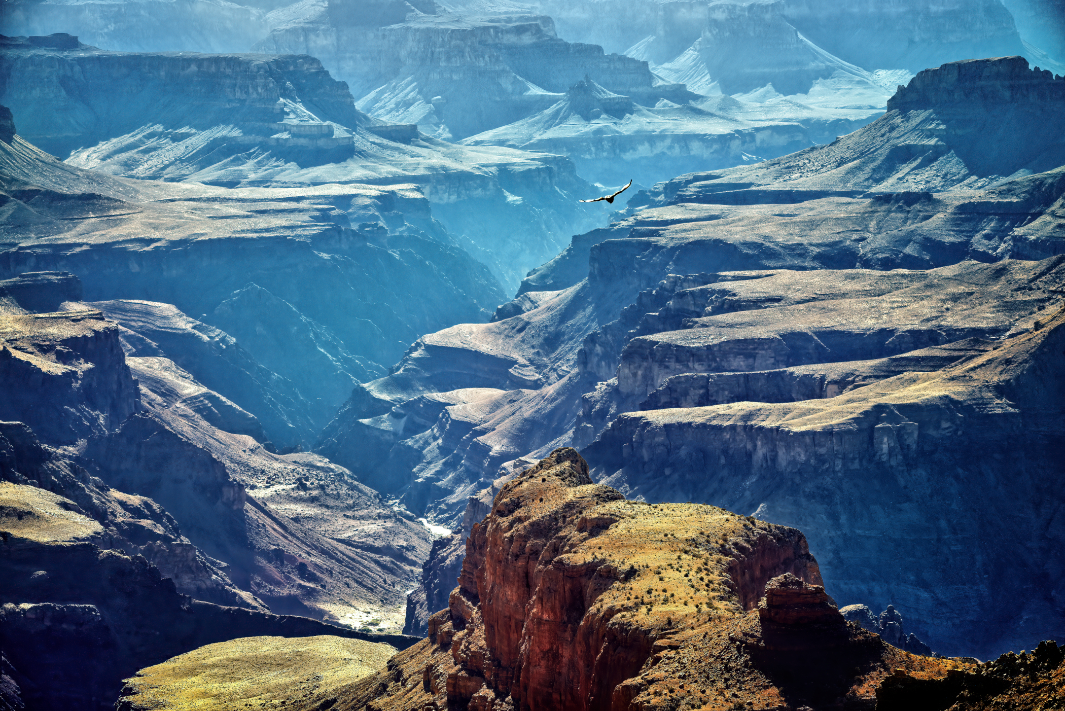 Skip Boyd - Flight of the Condor, Grand Canyon