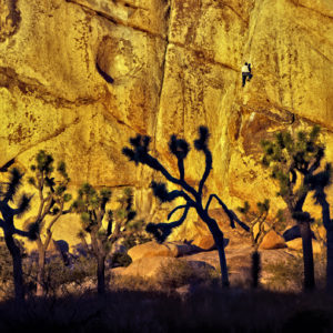 Skip Boyd - Ascension, Joshua Tree National Park, California