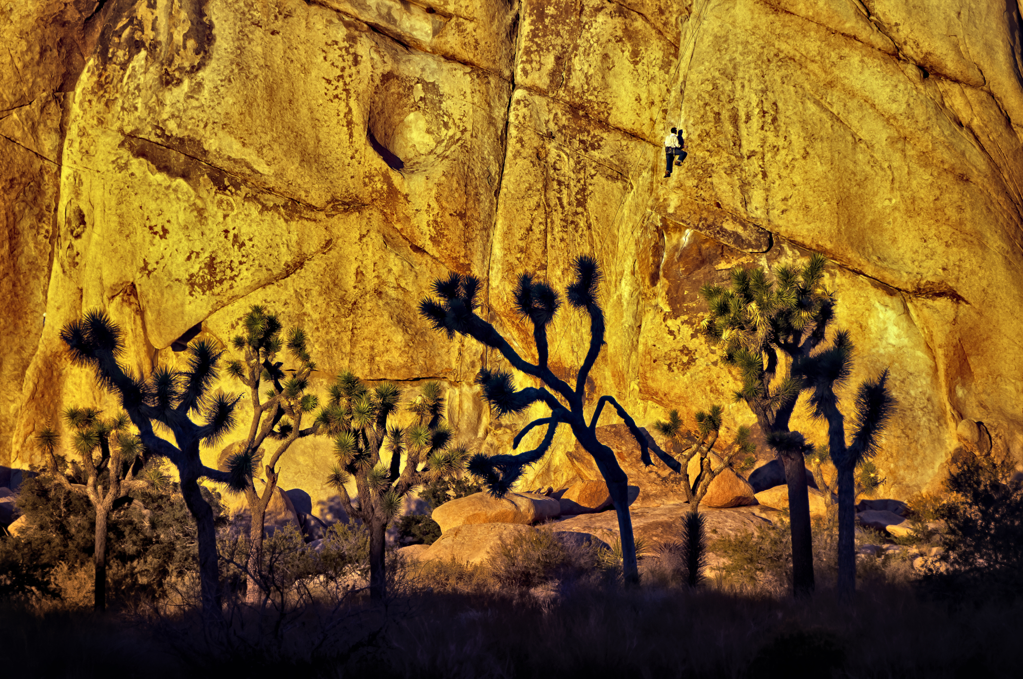 Skip Boyd - Ascension, Joshua Tree National Park, California