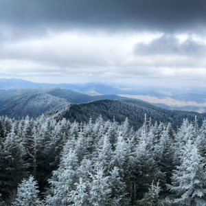 James Vitullo - Untitled5