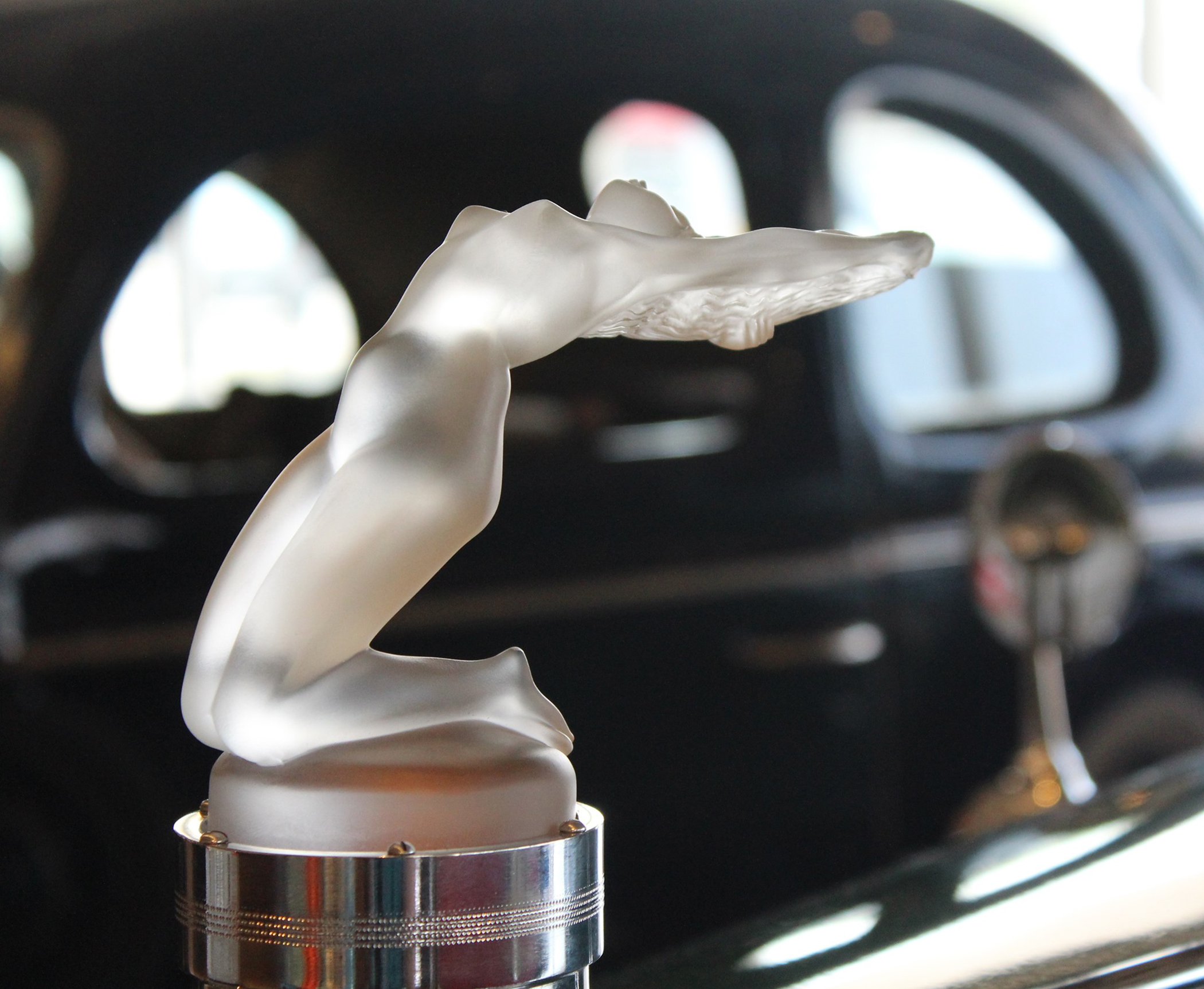 Sandra Ragan - Hood Ornament