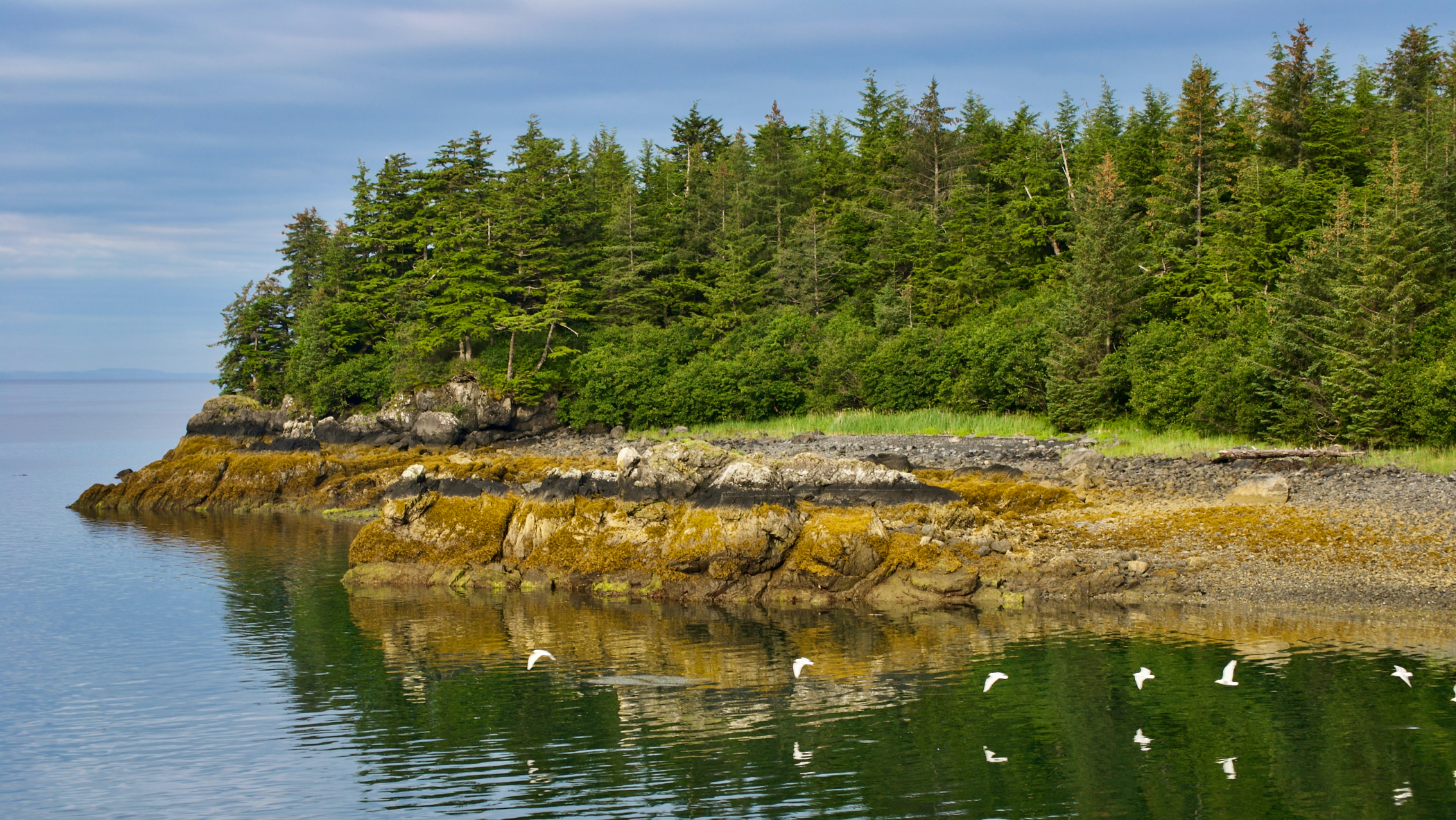 Steven Szalaj - Low Tide - Alice Cove