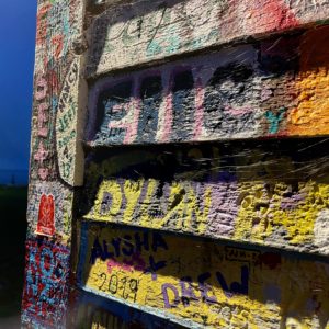 Marlene Frisbie - Anderson Textures