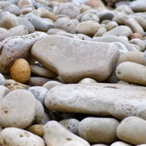 Marlene Frisbie - Not an Egg