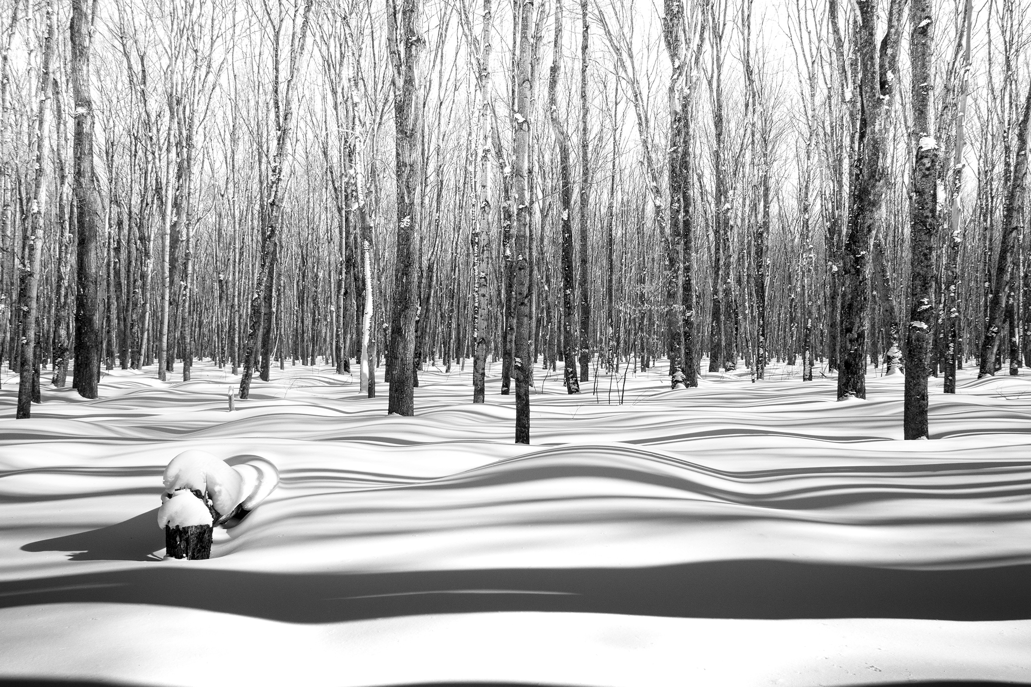 Nicole Wailly - Soft and Smooth