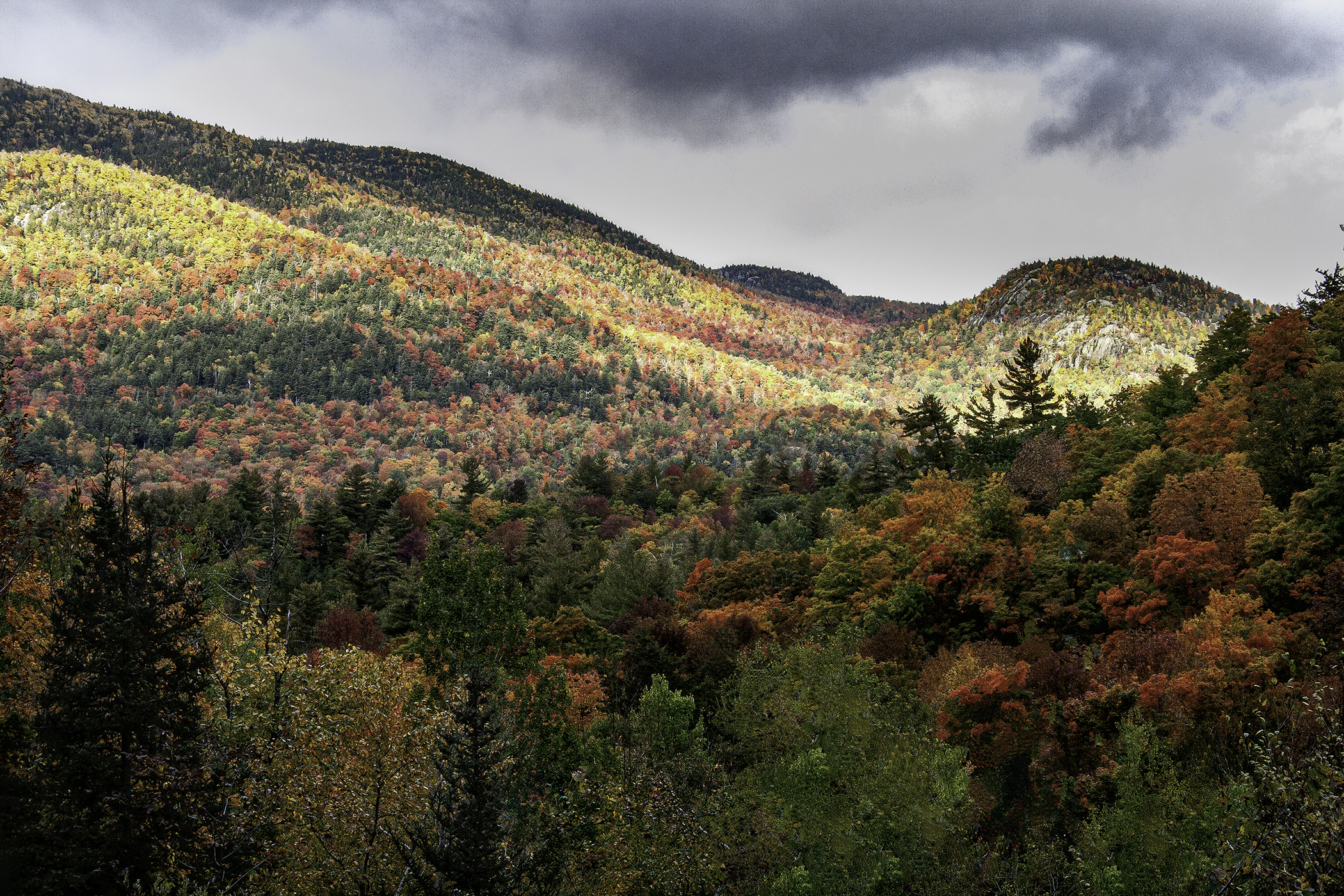 Bob Marckese - Adirondack's Mountainside