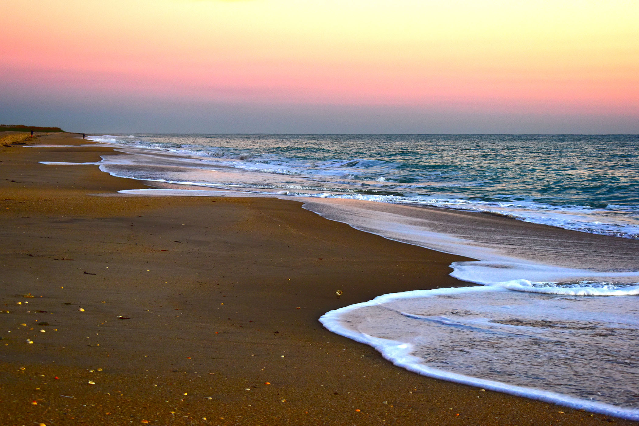 Celeste Minella - Dawn Delights