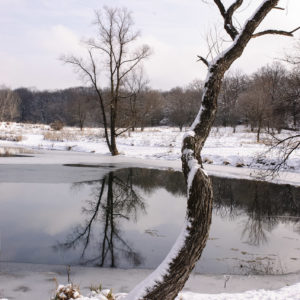 Weg Thomas - Broken Whole