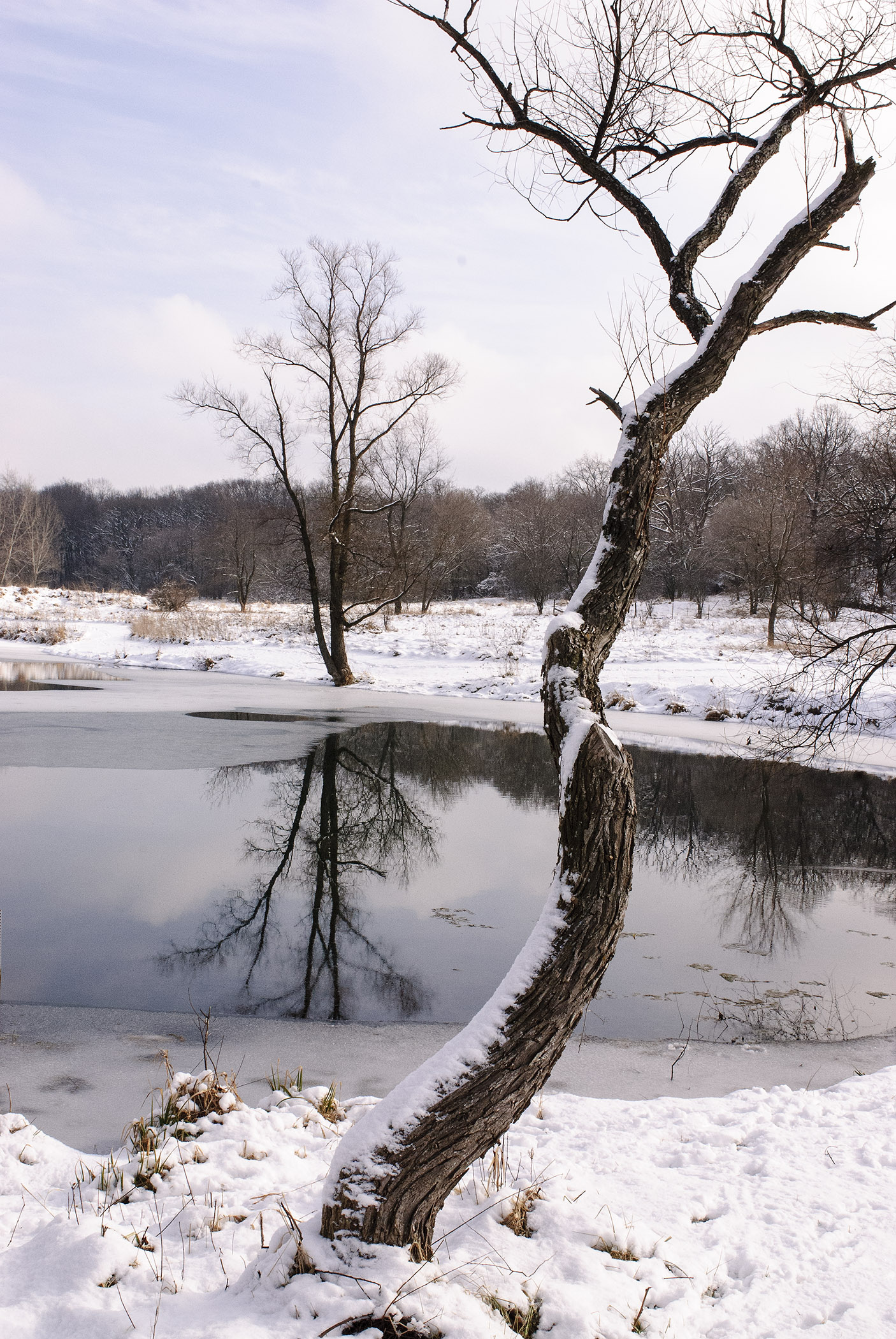 Weg Thomas - Broken Whole