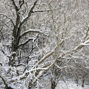 Weg Thomas - In the Moment