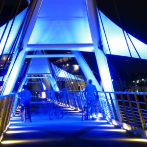 Laura Bavetz - Blue Ghosting