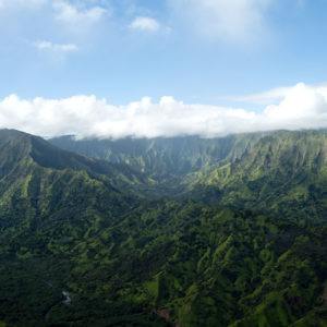Adam Smith - Kauai Valley