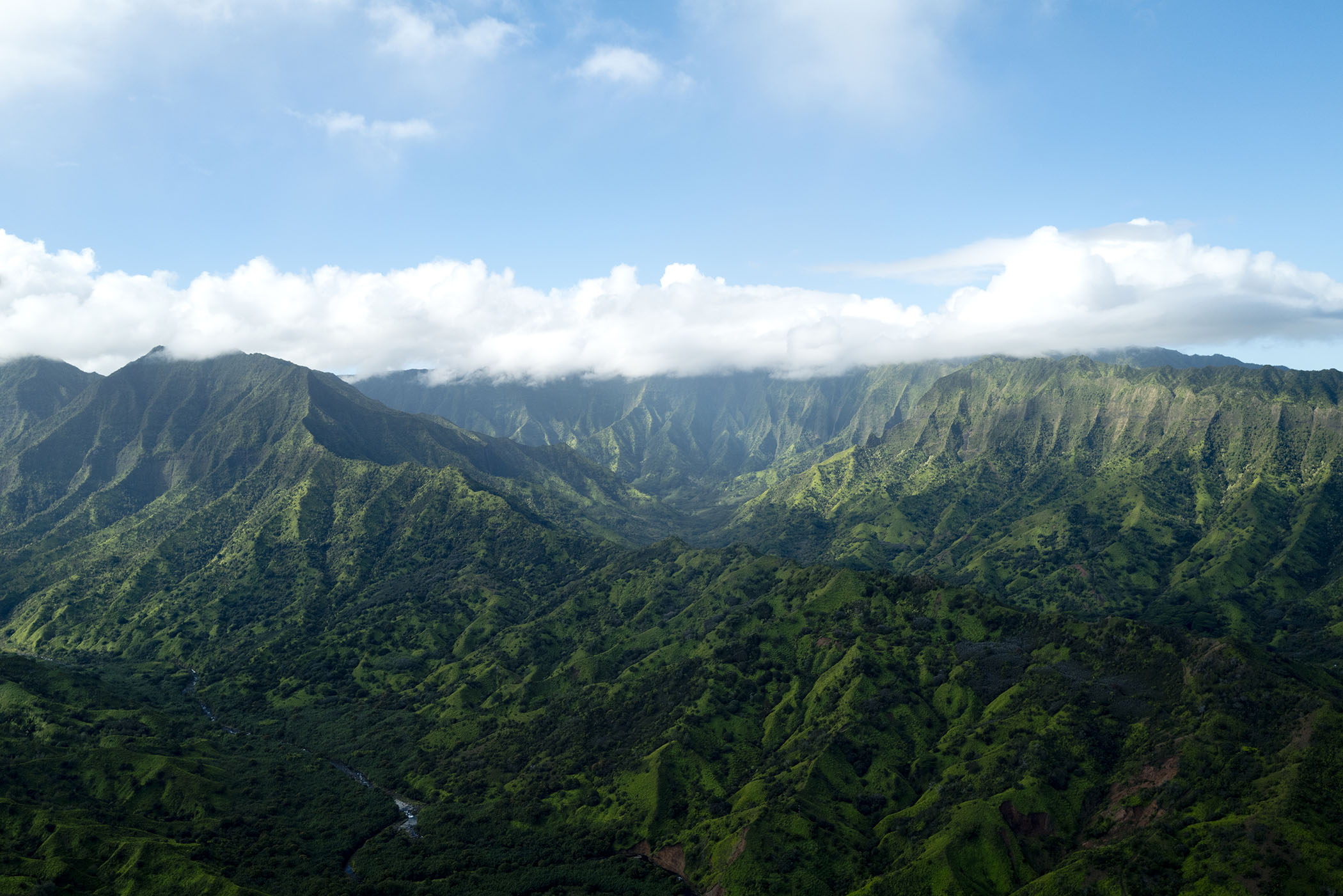 Adam Smith - Kauai Valley