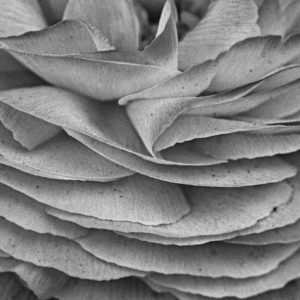 Tiffany Whisler - Layers