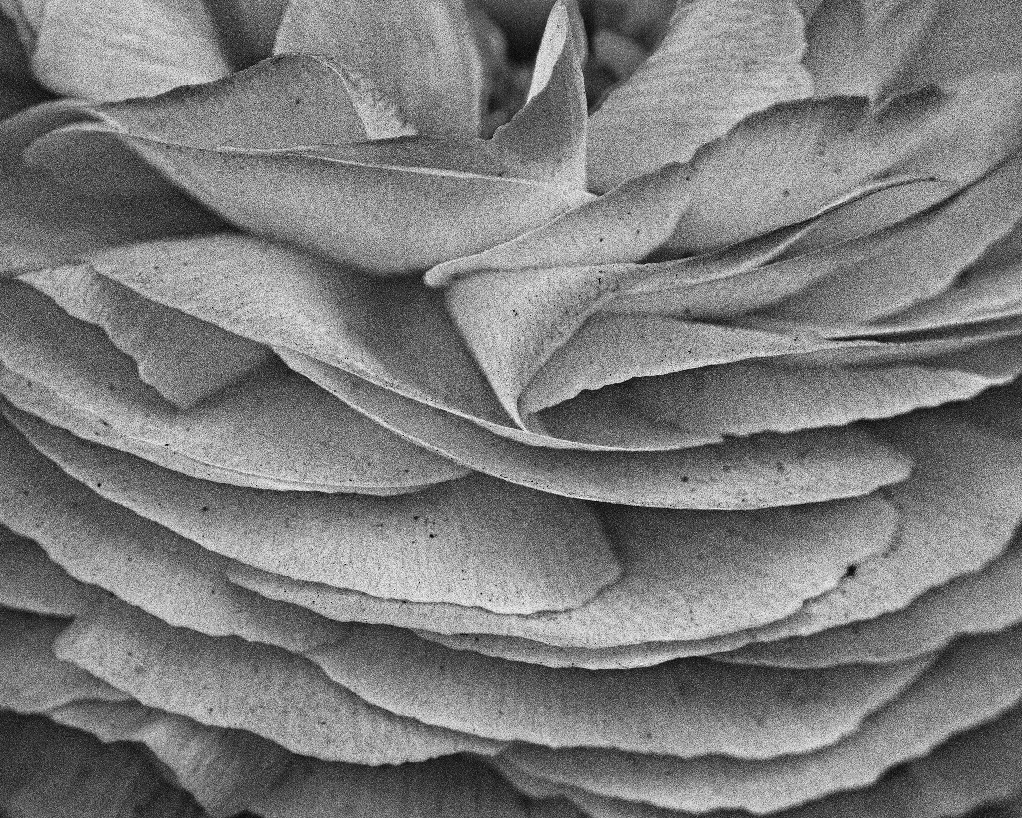 Tiffany Whisler - Layers