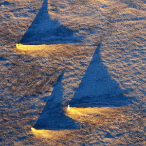 Ginger Goekijan - Regatta