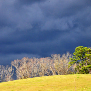 Ginger Goekijan - Evergreen