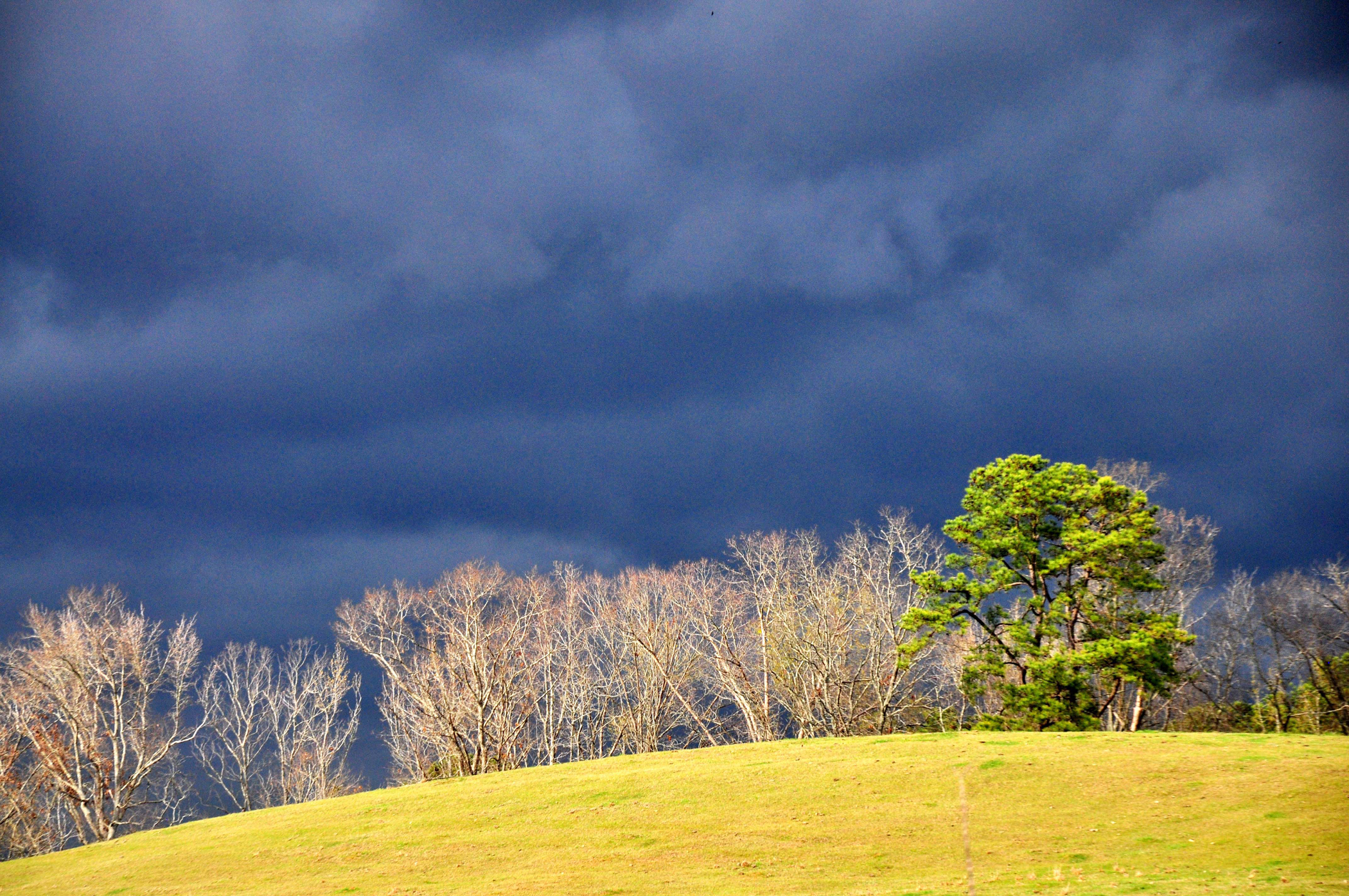 Ginger Goekijan - Evergreen