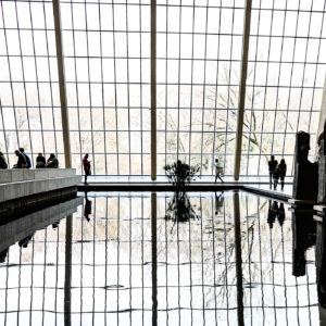 Lindsey Wismans - Reflection Pool