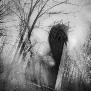 Marlene Frisbie - Bending Rays