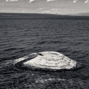 Joe Orban - Fishing Cone in Honor of Ansel Adams