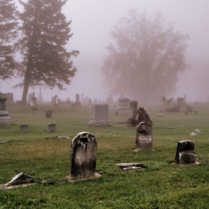 Rob Peterson - Ghostly Fog