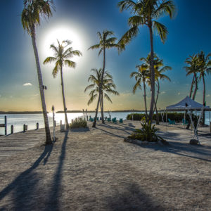 Gary Aleksiak - Tropical Paradise