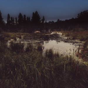 Debbie Bretag - Hushed