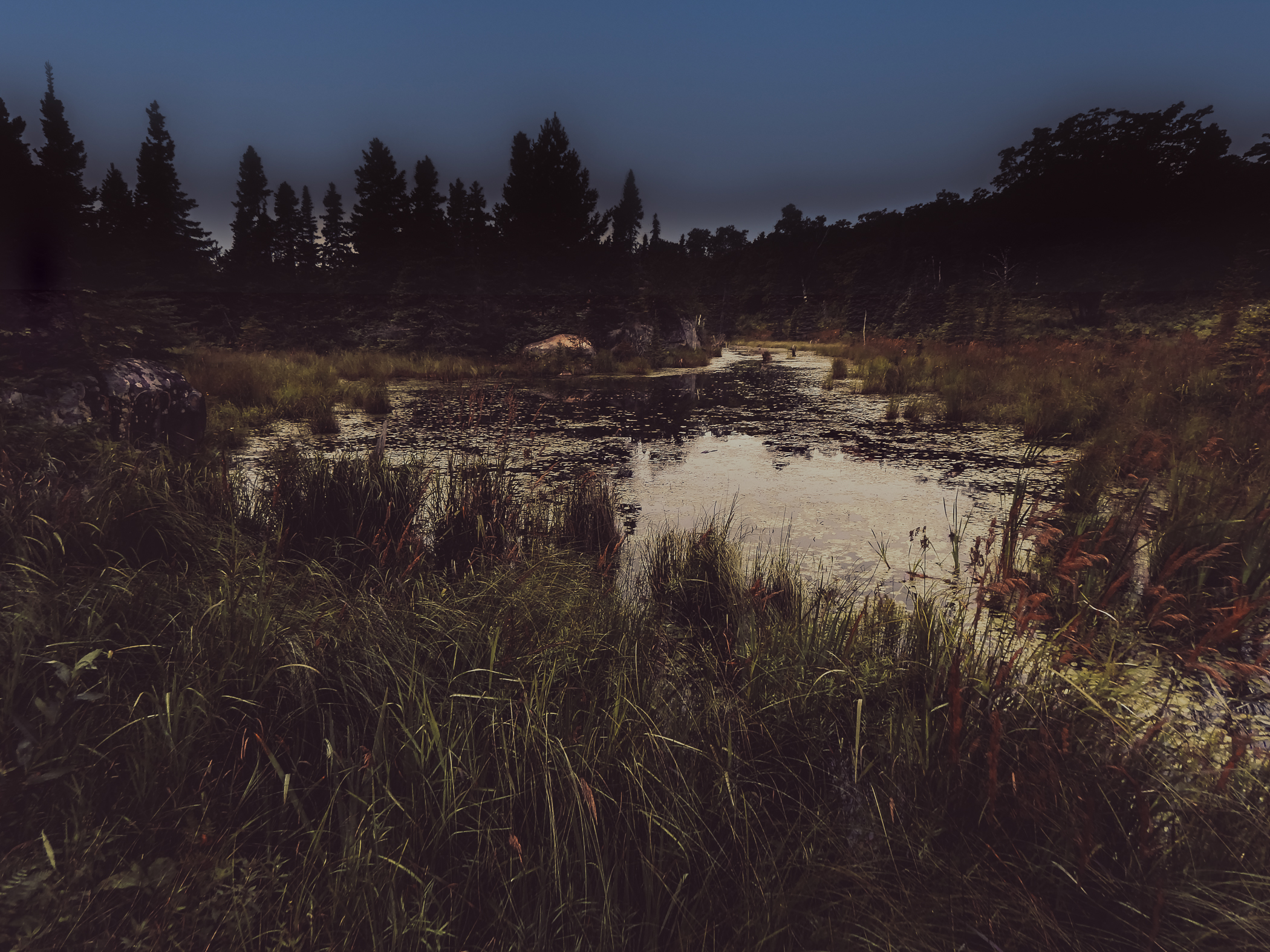 Debbie Bretag - Hushed